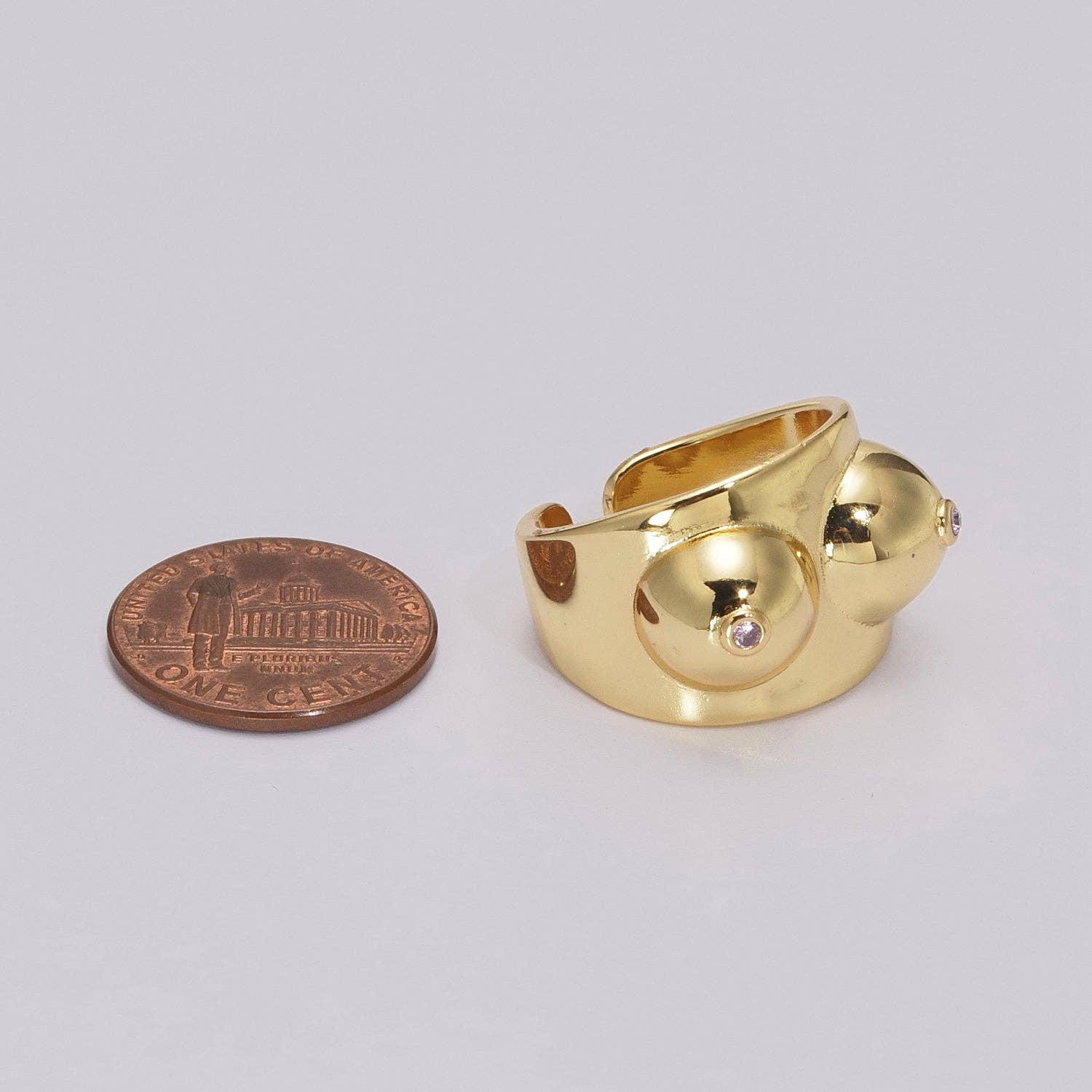 Boob Rings - Image 6