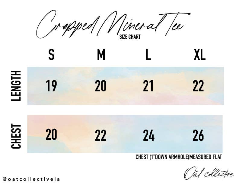 Philly Mineral Washed Crop Top - Image 3